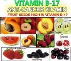 Vitamin B 17 in seeds and fruit ... (Click to enlarge)