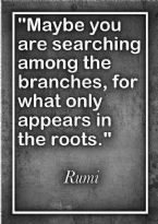 Branches and roots