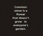 Common Sense