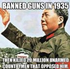 Banned guns