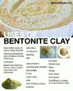 Bentonite clay