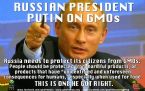 Russia and GMO