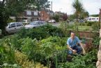 Urban Vegetable Garden