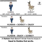 Human and donkey