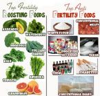 fertility foods