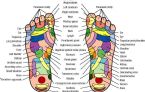 foot reflexology chart1