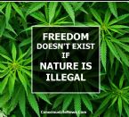 freedom doesnt exist if nature is illegal ... (Click to enlarge)