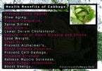 health benefits of cabbage