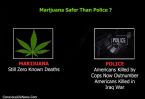 marijuana safer than police