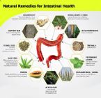 natural remedies for intestinal health