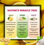 natures miracle trio