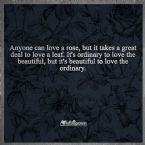 beautiful to love the ordinary