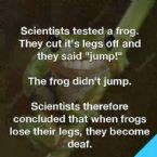 deaf frog ... (Click to enlarge)