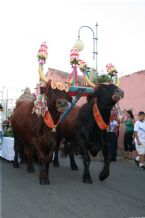 Madonna del Naufrago Ceremony, Villasimius, Sardegna (Sardinia), Italy