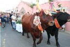 Madonna del Naufrago Ceremony, Villasimius, Sardegna (Sardinia), Italy