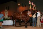 Madonna del Naufrago Ceremony, Villasimius, Sardegna (Sardinia), Italy