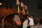 Madonna del Naufrago Ceremony, Villasimius, Sardegna (Sardinia), Italy