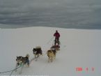 Dog Sledging, Valdres, Norway