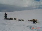 Dog Sledging, Valdres, Norway