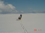 Dog Sledging, Valdres, Norway