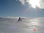 Dog Sledging, Valdres, Norway