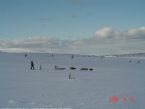 Dog Sledging, Valdres, Norway