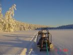 Dog Sledging on Romerikssen, Norway