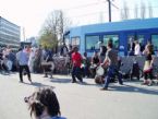 Street Dance in Oslo, Norway