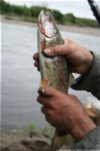 Wild Salmon and Wild Trout Fishing on Kamchatka Peninsula