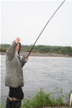 Wild Salmon and Wild Trout Fishing on Kamchatka Peninsula