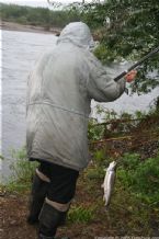 Wild Salmon and Wild Trout Fishing on Kamchatka Peninsula