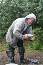 Wild Salmon and Wild Trout Fishing on Kamchatka Peninsula