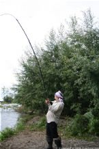 Wild Salmon and Wild Trout Fishing on Kamchatka Peninsula