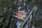 Wild Salmon and Wild Trout Fishing on Kamchatka Peninsula