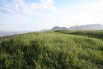 Green grass, Pacific ocean coast, Kamchatka, Russia, 2005