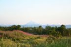 Kamchatka, Russia, 2005