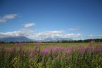 Kamchatka, Russia, 2005