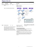 cortisol Copy 3