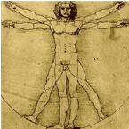 vitruvian man