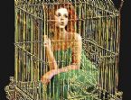 Bird in a Gilded Cage 397x303