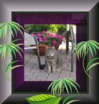 Dimitroula in Her Garden1