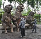 Elephant training for entertainment