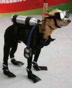 Scuba Dog Halloween Costume