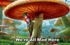 WERE ALL MAD HERE