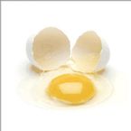 Yellow Yolk ... (Click to enlarge)