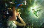 fantasy fairy wallpaperswallpapers twitter bird desktop gallery fantas