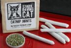 five cat joints red tray 1933