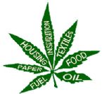 hemp leaf ... (Click to enlarge)