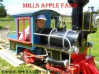 mills apple farm il 48833