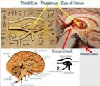 pineal gland eye of horus 1